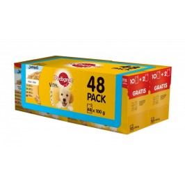 Pedigree Junior saszetki multipack 4 x (12 x 100g)